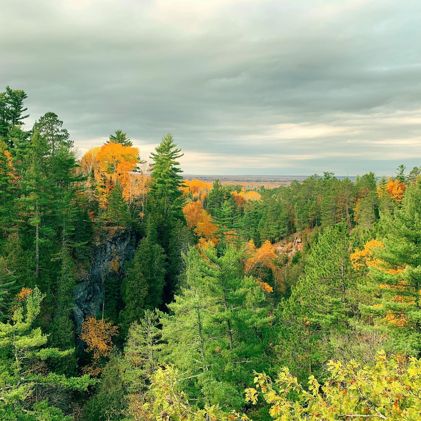 Up North